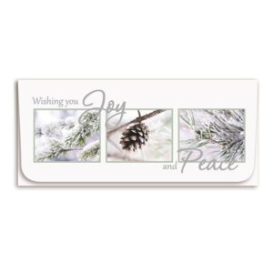Holiday Currency Envelopes printed Foil and Four-color litho with white outer envelopes, 500/box