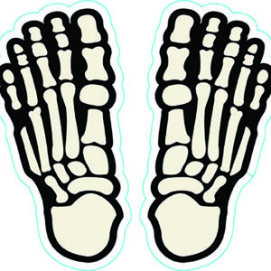 Holiday Floor Designs