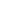 Bags Icon